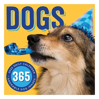 TF Publishing 2025 Dog A Day Daily Desktop Calendar