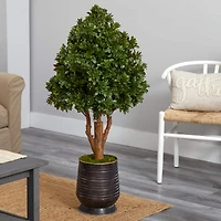 4ft. Tea Leaf Tree in Metal Planter