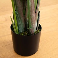 8ft. Potted Travelers Palm Tree