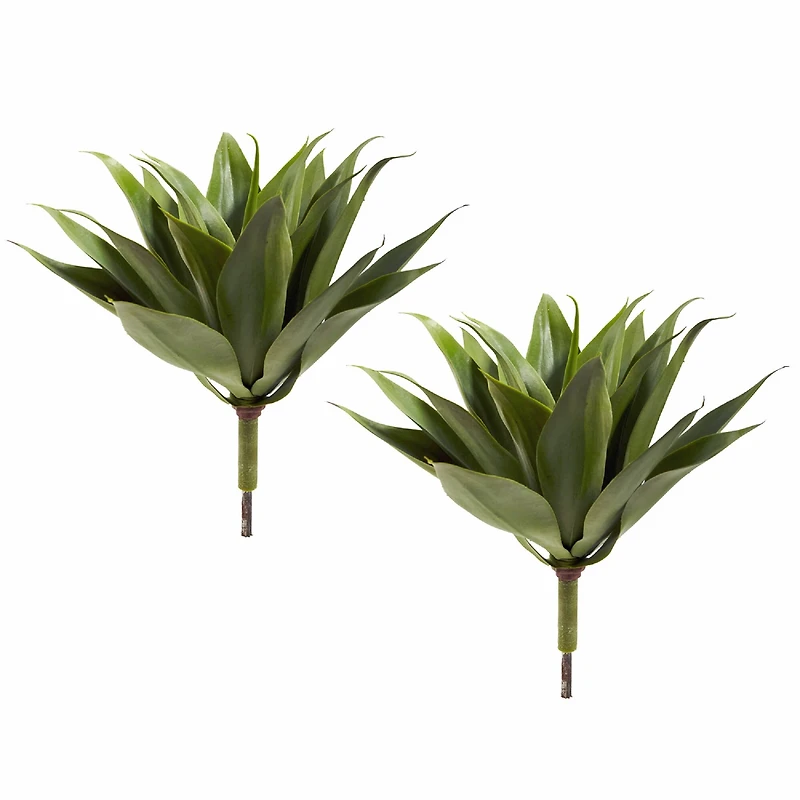 Agave Plant Spikes, 2ct.