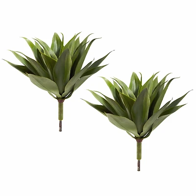 Agave Plant Spikes, 2ct.