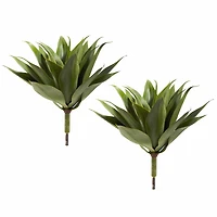 Agave Plant Spikes, 2ct.