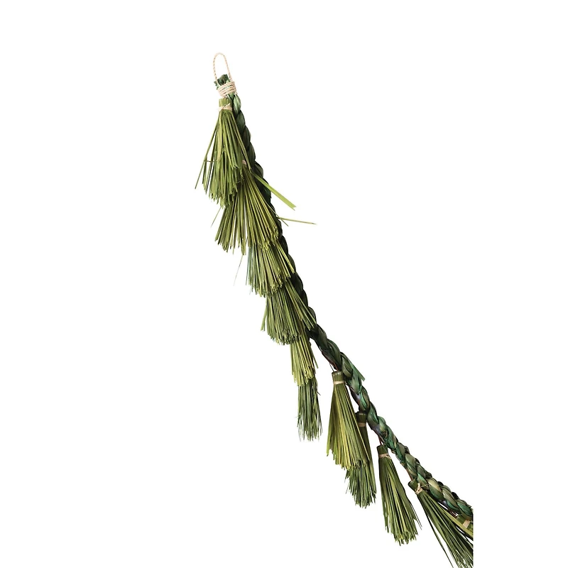 Hello Honey® 6ft. Green Dried Natural Plume Grass Garland