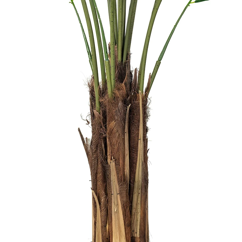 6ft. Potted Giant Areca Palm Tree