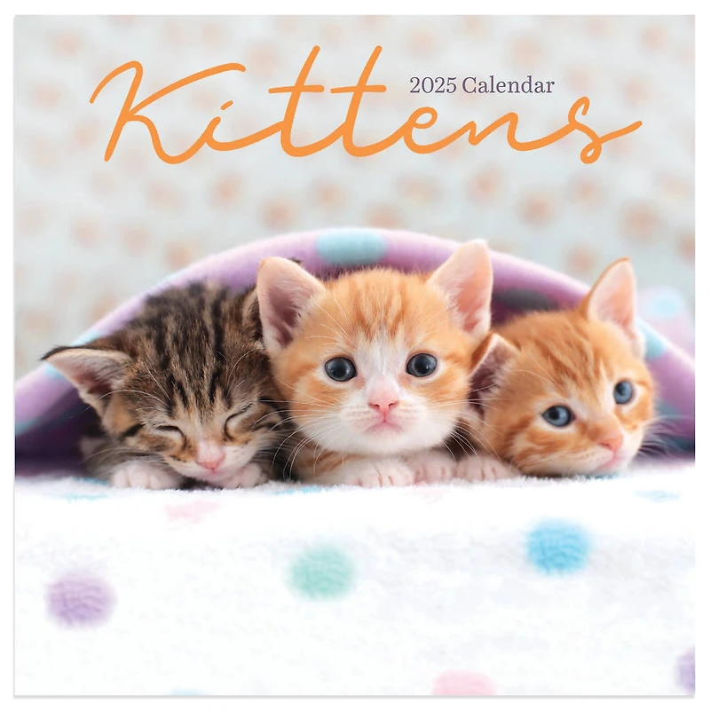 TF Publishing 2025 Kittens Mini Calendar