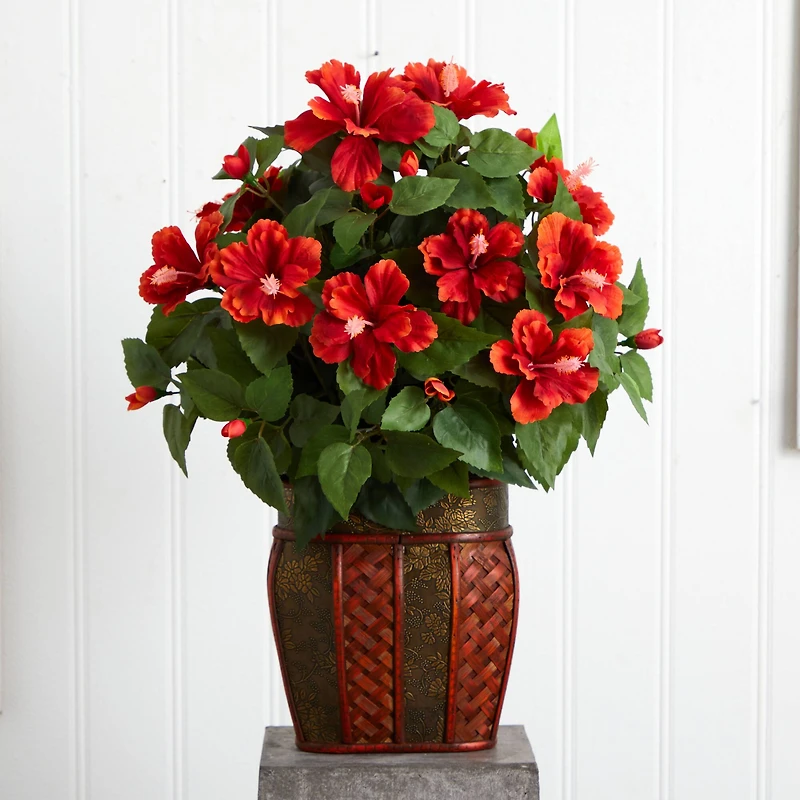 24" Hibiscus Plant in Decorative Planter