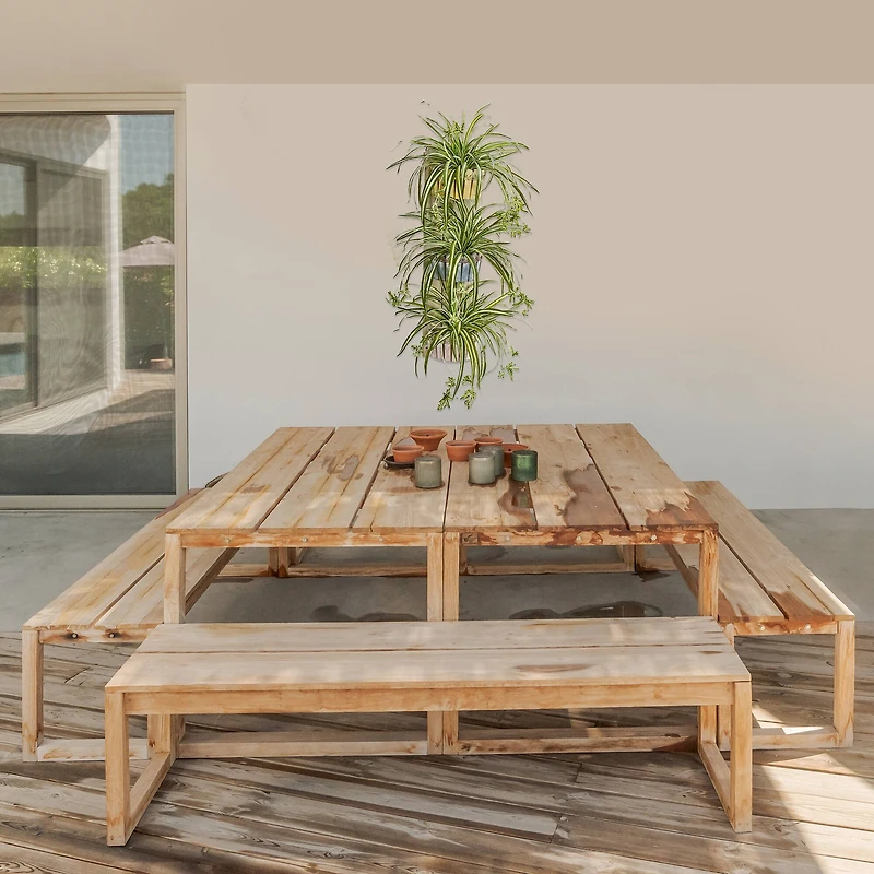 3.5ft. Spider Plant in Three-Tiered Wall Planter