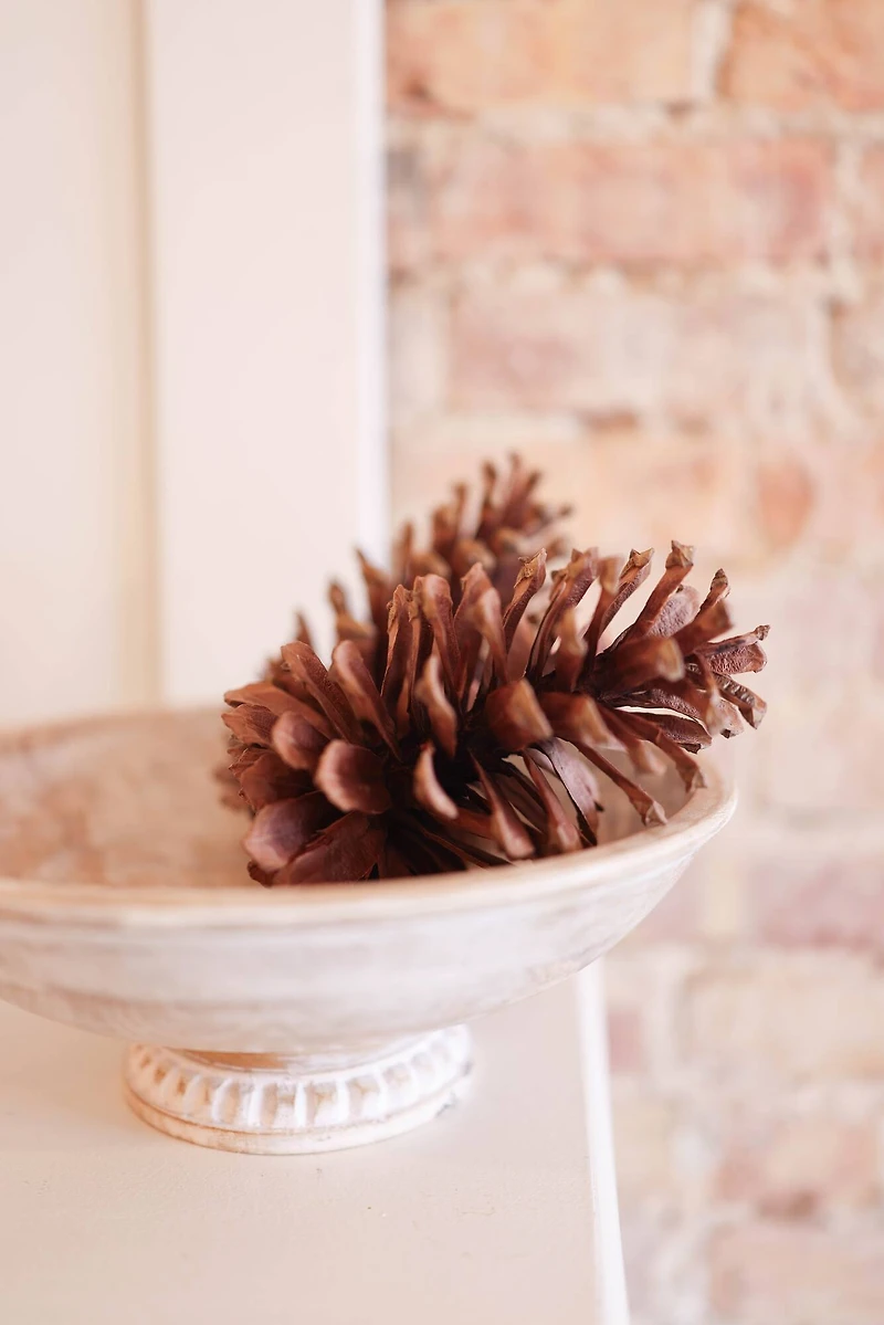 Natural Long Leaf Pinecones, 2ct. by Ashland®