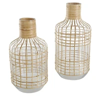 Clear Rattan Grid Wrapped Glass Vase Set