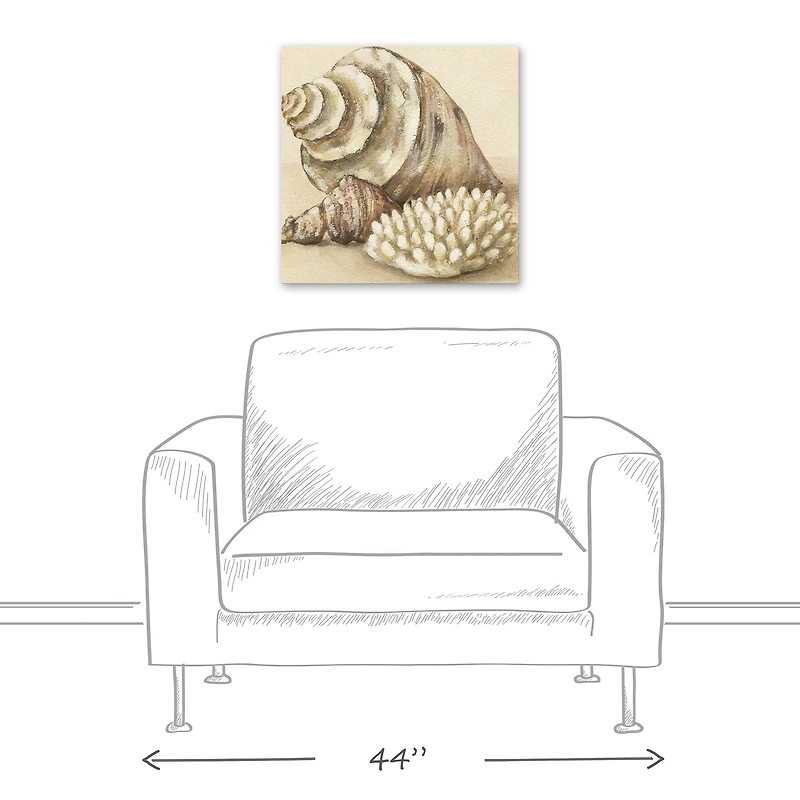 Conch And Sea Shells 20" x 20" Canvas Wall Art