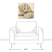 Conch And Sea Shells 20" x 20" Canvas Wall Art