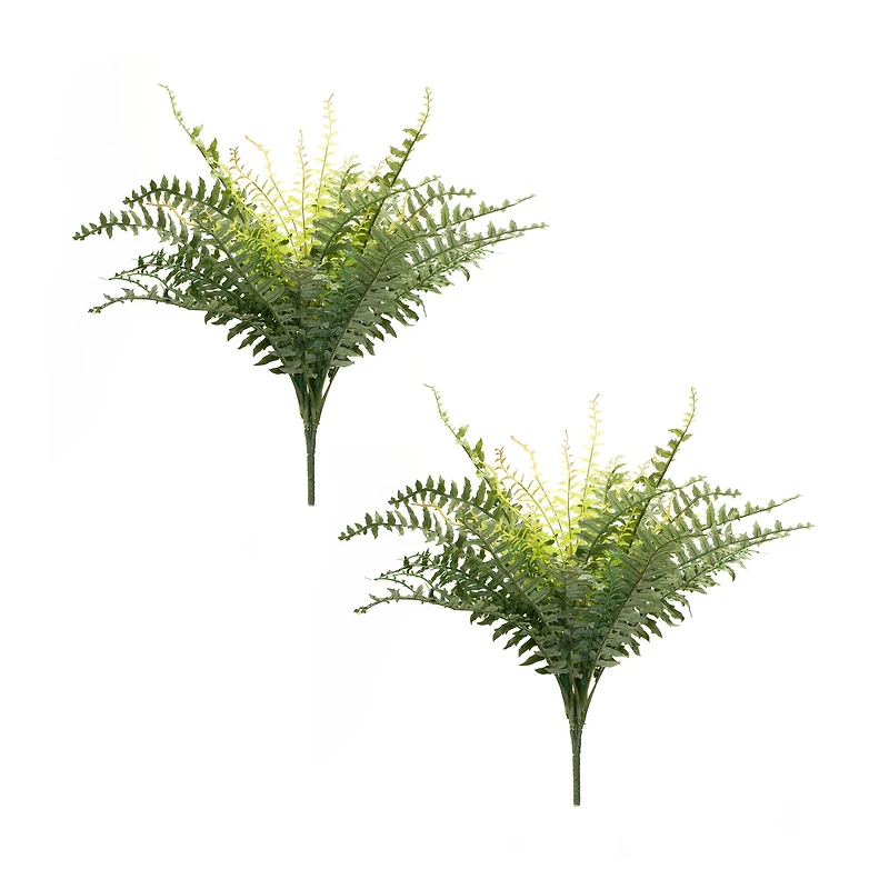 22.5" Mixed Fern Foliage Bushes, 2ct.