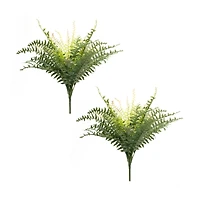 22.5" Mixed Fern Foliage Bushes, 2ct.