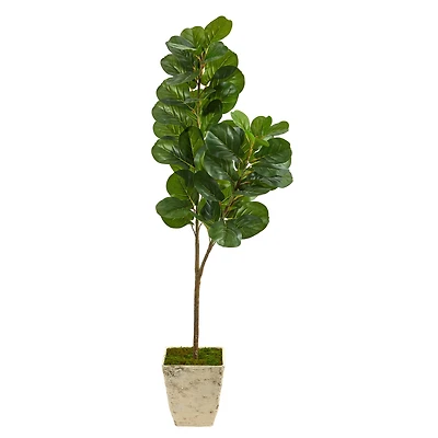 5.5ft. Fiddle leaf Fig Artificial Tree in Country White Planter