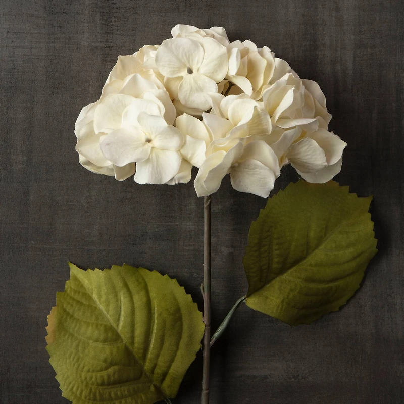 12 Pack: Cream Hydrangea Steam by Ashland®