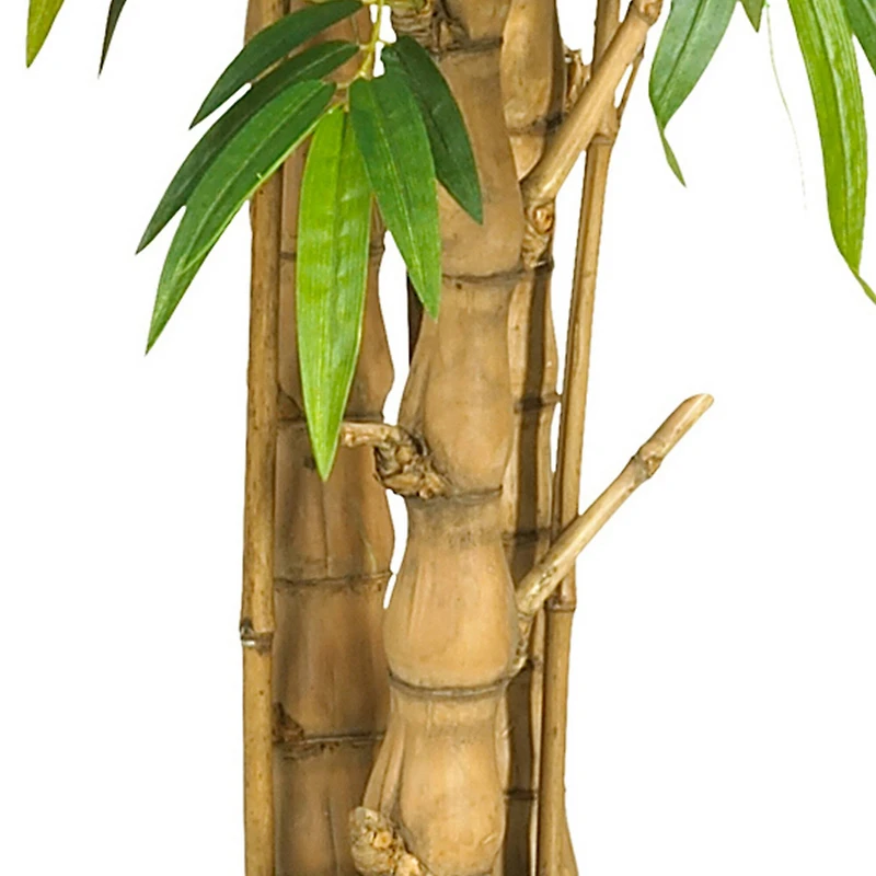 6ft. Potted Belly Bamboo Tree
