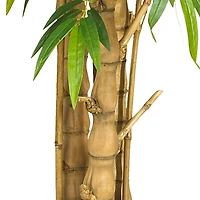 6ft. Potted Belly Bamboo Tree