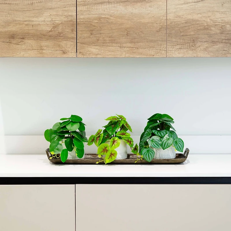 8" Mixed Greenery in Ceramic Planters Set