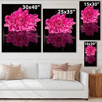 Designart - Single Chrysanthemum Flower On Black Reflection