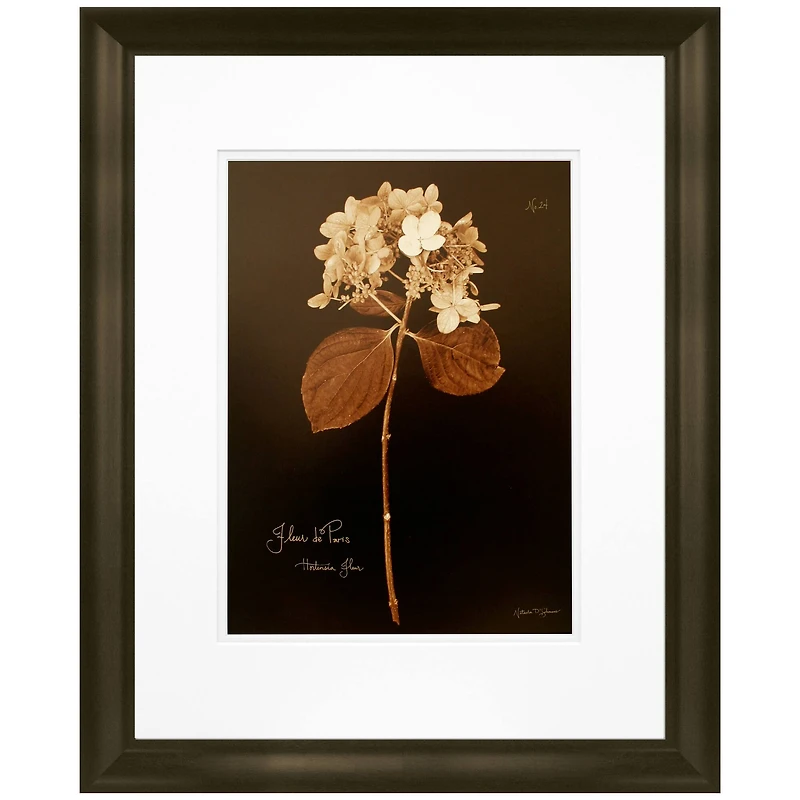 Timeless Frames® Hydrangea Framed Wall Décor