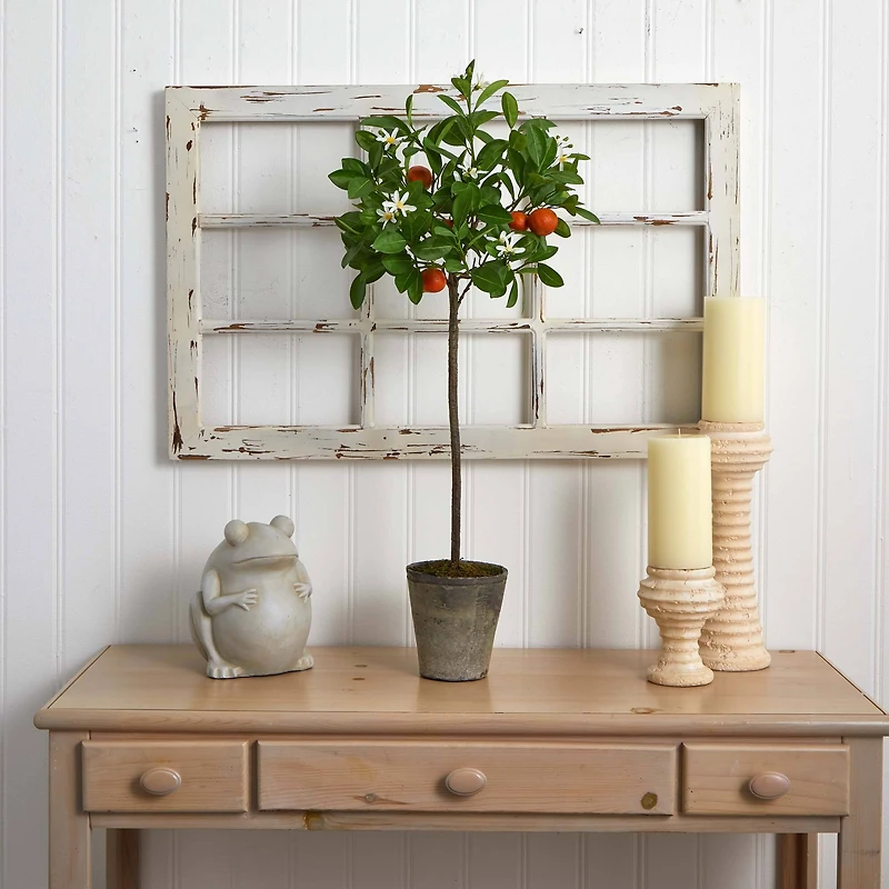 3ft. Potted Orange Tree