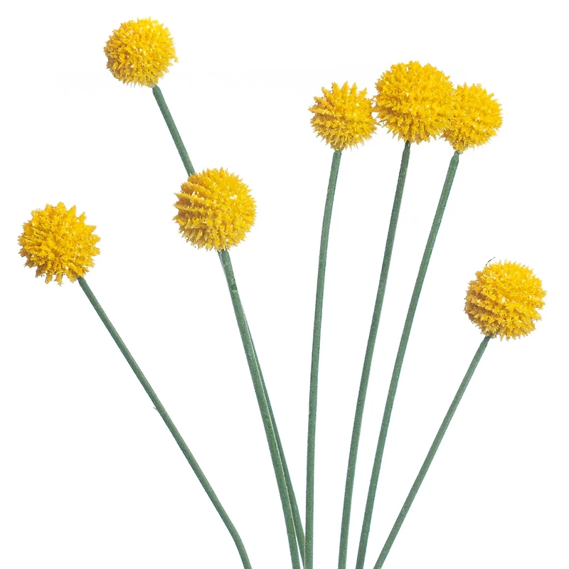 16 Pack: Yellow Billy Ball Stem by Ashland®