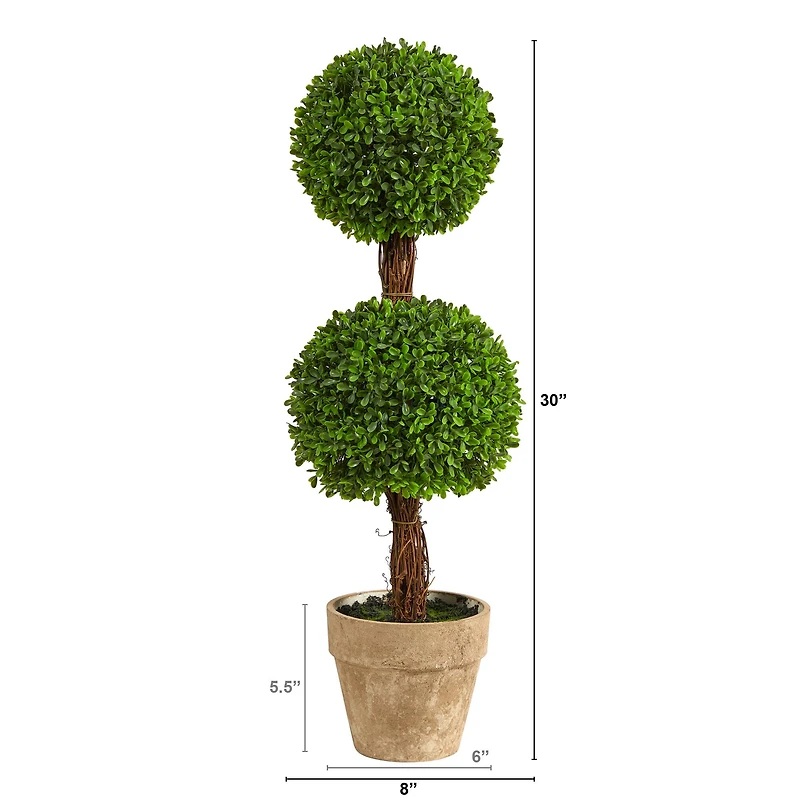 2.5ft. Potted Boxwood Double Ball Topiary Tree
