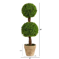 2.5ft. Potted Boxwood Double Ball Topiary Tree