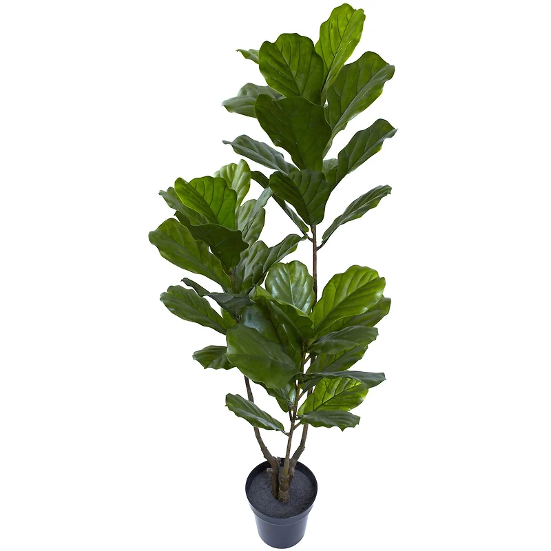 5.4ft. Potted Fiddle Leaf Tree
