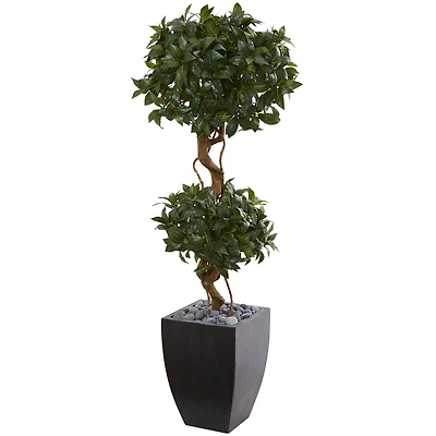 4.5ft. Sweet Bay Double Topiary Tree in Black Planter