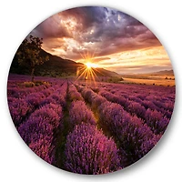 Designart - Sunrise & Dramatic Clouds Over Lavender Field IV