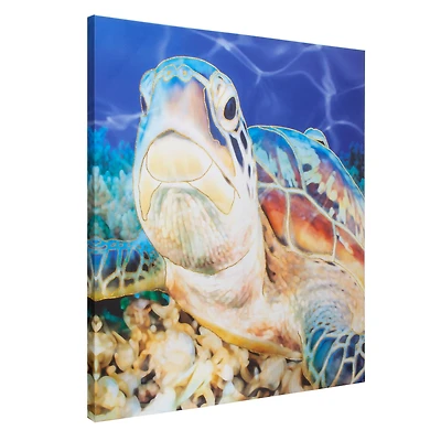 Sea Turtle Outdoor Canvas Art Print - 35"x35"
