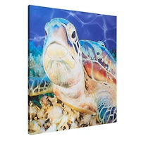 Sea Turtle Outdoor Canvas Art Print - 35"x35"