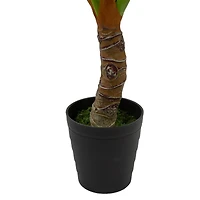 4.25ft. Potted Wide Leaf Taro Floor Plant