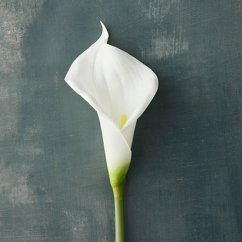 White Calla Lily Stem by Ashland®