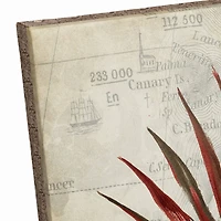 Fan Palm 16" x 16" Canvas Wall Art