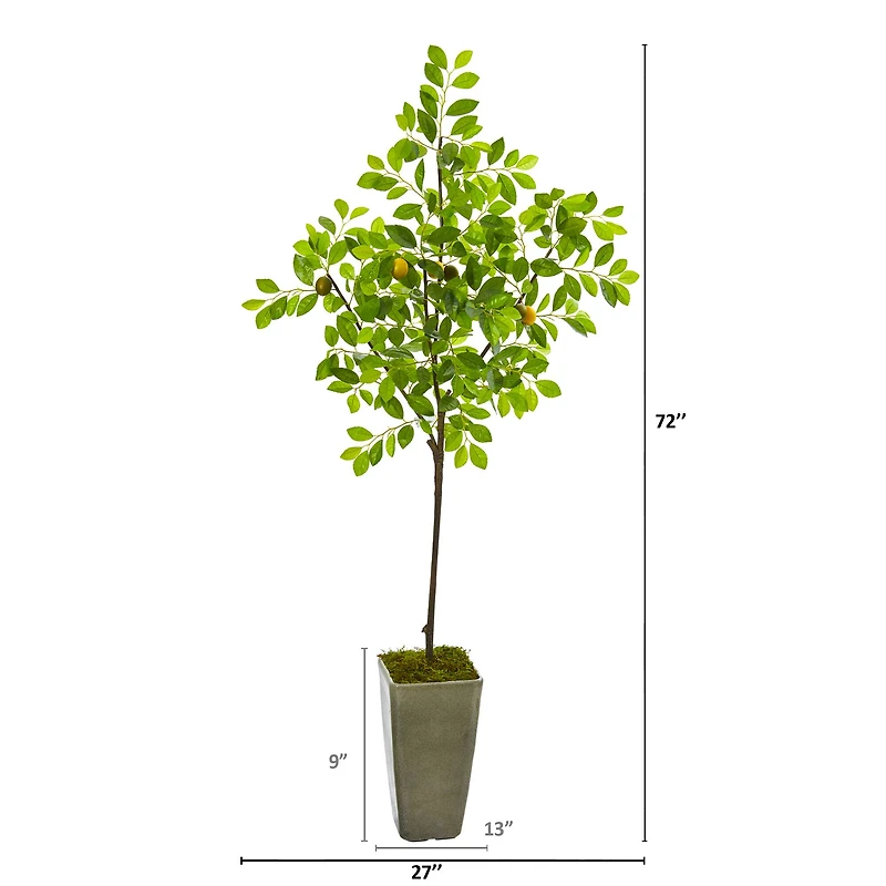 6ft. Lemon Tree in Olive Green Planter