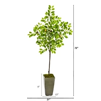 6ft. Lemon Tree in Olive Green Planter