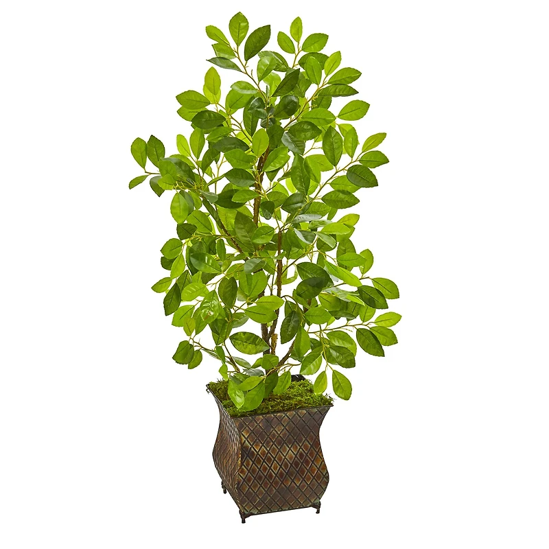 3ft. Ficus Tree in Metal Planter