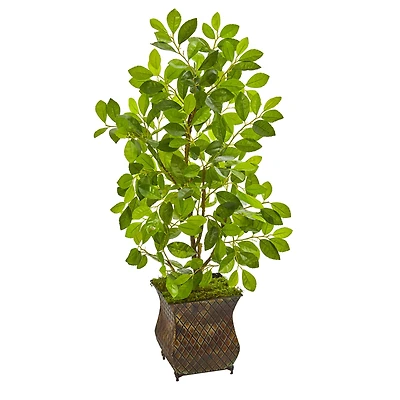 3ft. Ficus Tree in Metal Planter