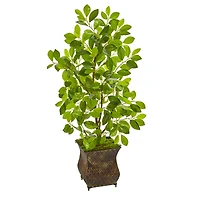3ft. Ficus Tree in Metal Planter