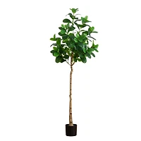 6ft. Artificial Audrey Ficus Tree