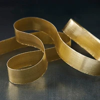 1/2" x 10yd. Lamé Ribbon by Celebrate It® 360°™