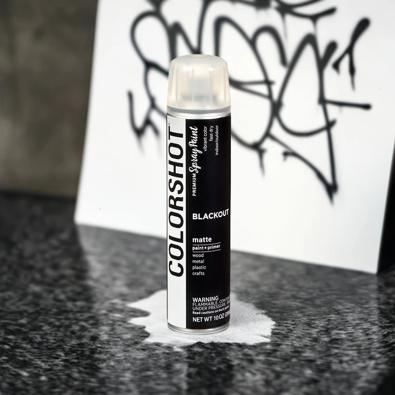 COLORSHOT® Blackout Matte Spray Paint