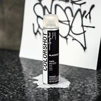 COLORSHOT® Blackout Matte Spray Paint