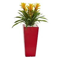 2ft. Yellow Triple Bromeliad in Red Planter