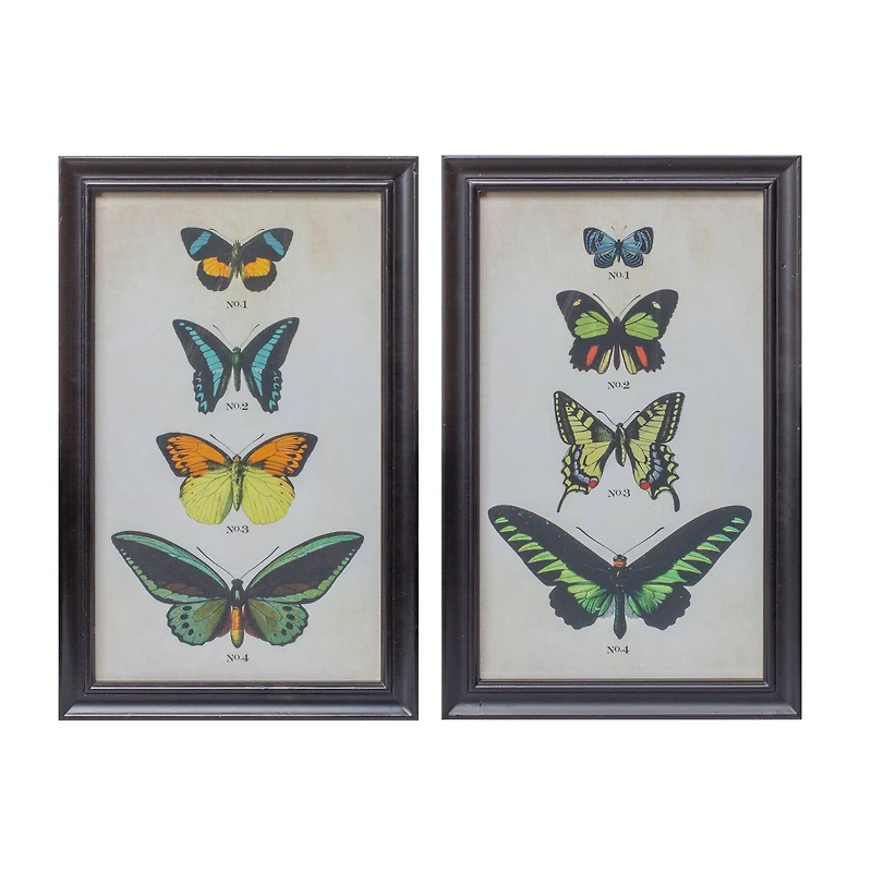 Framed Butterfly Print Set