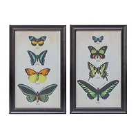 Framed Butterfly Print Set