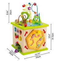 Hape Country Critters Wooded 5-Sided Play Cube