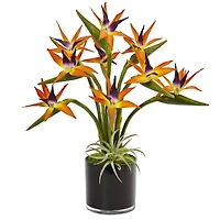 24" Bird of Paradise Arrangement in Black Glossy Cylinder